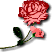 Flower Border 15.gif